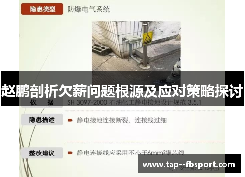 赵鹏剖析欠薪问题根源及应对策略探讨